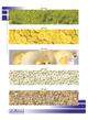 Кухонные фартуки Albico